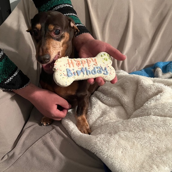 Meet your Posher, Estelle - Picture 11 of 13